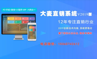 直销软件开发 应用软件的关键技术与应用前景