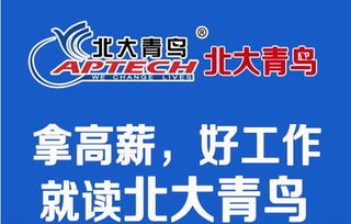 许昌计算机学校选择指南 手机软件专业哪家强？