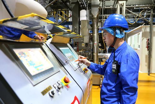 小萌宠激活亿元新赛道 山东宠物产业发展一线见闻